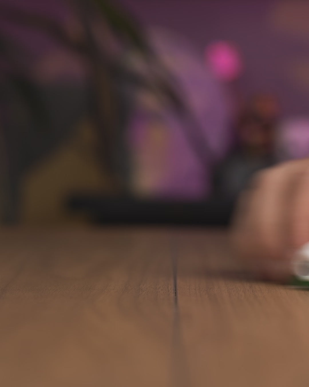 Fidget Tier Schlüsselanhänger